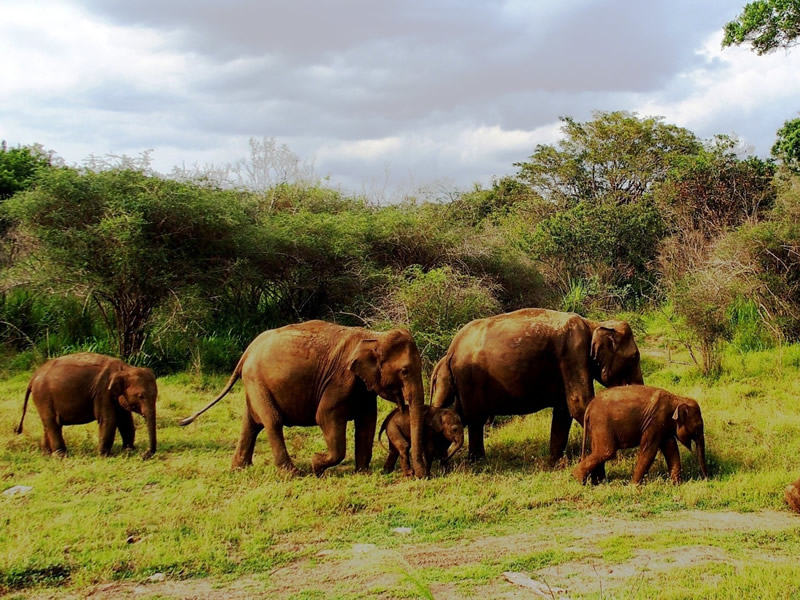 60368c8b102809091dac11bce3208649