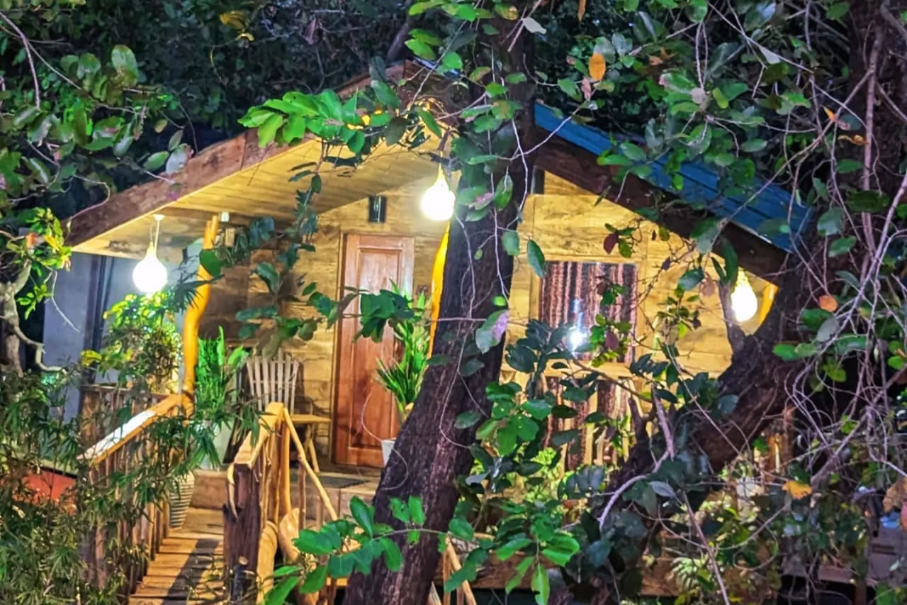 WhatsApp Image 2025-02-07 at 11